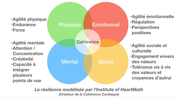 Schéma résilience